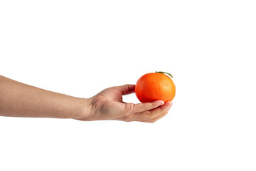 Wall Mural - Orange fruit in hand isolated on transparent background.