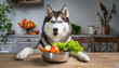  Hund, Husky sitzt mit am Esstisch und schaut in seinen Napf, in dem Gemüse liegt, KI generiert