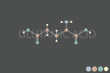 Canvas Print - glutamic acid molecular skeletal chemical formula