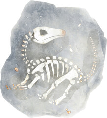  Apatosaurus fossil in rock . Watercolor painting style .