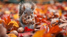 A squirrel among the vibrant fallen leaves, clutching a nut in its hands. Generative Ai