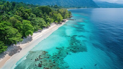 Wall Mural - Top view of white sandy beach with clear blue water