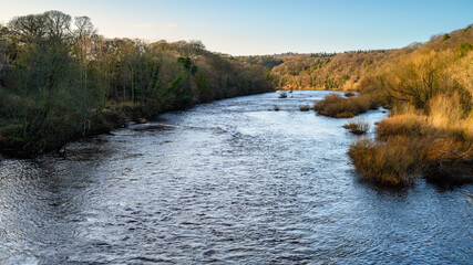 Wall Mural - the river tyne at wylam from hagg bank bridge, at wylam now a pedestrian bridge spans the river tyne