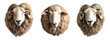 Set with sheep heads. White sheep on the transparent background.