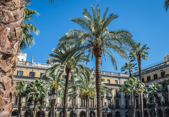 Canvas Print - Plaza Real - Royal Square in Barcelona, Spain