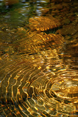 Poster - Beautiful ripple and caustics pattern on water surface. Background image. Created with Generative AI technology.