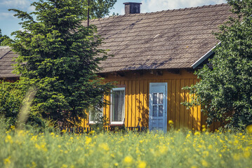 Wall Mural - Typical wooden cottage in Zalipie village, Poland