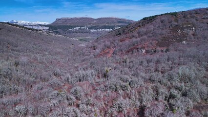 Wall Mural - Winter forest around the Las Pisas waterfall in Villabáscones de Bezana in the Valdebezana Valley. The Merindades region. Burgos. Castile and Leon. Spain. Europe