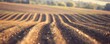 Agricultural landscape furrow prepared for planting
