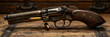 Single Bullet in Handgun,
Close up of hunting shotgun and cartridges on dark grey background
