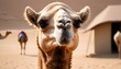 A Camels Ears Perked Up Attentively Upscaled 4 2