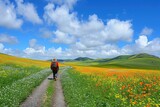 Fototapeta Kwiaty - A man walks along a sandy road among a blooming field and sky.
