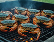 Grilled crabs on  picnic charcoal stove. The character and all objects are fictitious, the image was created using the neural network Fooocus v2