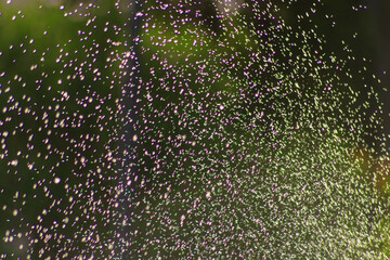 Wall Mural - blurry flying water droplets with multi-colored colored reflections and distortions at the edges. re