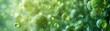 High Green Background with Water Drops and Bubble: A Close-Up Look at Green Chemistry in Drug Synthesis