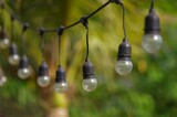 Fototapeta Motyle - Light bulbs hanging on the electric line