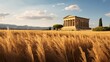 Tall golden wheat fields envelop Greek temple extending to horizon