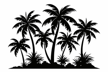 tropical palm trees with leaves, mature and young plants, black silhouettes isolated on white background 