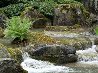 Wall Mural - Japanese Garden No. 12