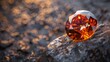 The dark orange gemstone jewelry cut with dark stone background. orange Diamond Gemstone Close up Beautiful of orange gemstone round cut on stone, close up shot.