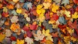 A cluster of autumn leaves scattered and resting on the ground, creating a carpet of varied colors and shapes