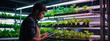 Young farmer tends to vertical farm with ultraviolet LED lights. Hydroponics specialist works on tablet beside rack of fresh plants ready for supermarket shipping.