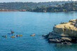 Kayakers observing sea lions in La Jolla cove, San Diego, California