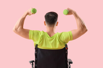 Poster - Sporty young man in wheelchair with dumbbells on pink background, back view