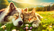Closeup of a dog and a cat sleeping chilling relaxing together on a fresh green spring or summer meadow, illuminated by the sun. Generative Ai.