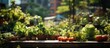 urban garden growing plants herbs spices vegetables and flowers in the city
