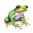 Watercolor Frog Clipart isolated on white background