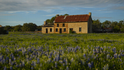 Bluebonnet House in Marble Falls, Texas, USA