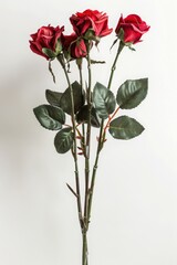 red rose bouquet isolated on a white background