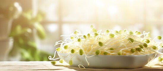 Sticker - Mung bean sprouts in a bowl on table with window in background