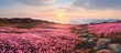 Pink flowers bloom in the mountain sunset