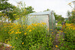 A greenhouse is blooming with yellow flowers in a natural landscape