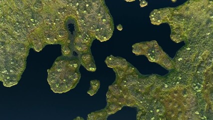 Wall Mural - Swamp landscape, drone view. Yelnya Wild mire. Swamp background. East European swamps and Peat Bogs, top view. Marshland with islands and pine trees. Swampy land, wetland, marsh. Bog background.