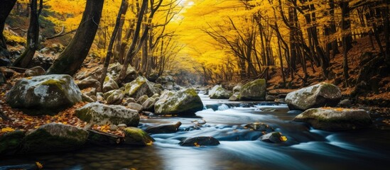 Aufkleber - Forest river with rocks