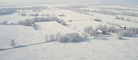 Fototapete - A snow-covered rural field with a house and trees from an aerial perspective