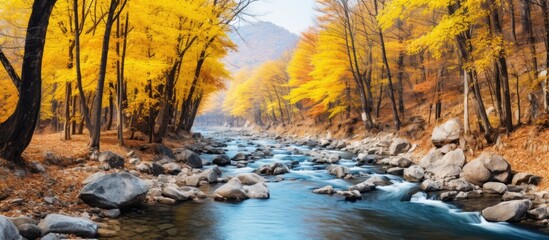 Wall Mural - River flowing through rocky forest