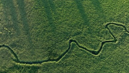 Wall Mural - Winding river in jungle, Amazon. Zigzag River, drone view. Small river in field, Aerial view. Wildlife Refuge Wetland Restoration. Green Nature Scenery. River in Wildlife. Freshwater and Ecosystem. 