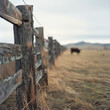 fence rows in rural country farm setting, Oregon, Washington, cows and horses