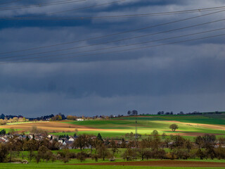 Canvas Print - Feld im Frühjahr