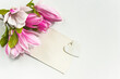 Spring greeting card template; Bouquet of pink magnolia flowers, on a white background, copy space
