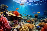 Fototapeta Do akwarium - Vibrant coral reefs teeming with marine life in a tropical sea