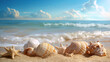 Seashells on ashore - beach holiday background
