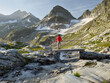 Wanderer auf der Brücke über den Sonnblickkeesbach, Eiskögele, Tauernkogel, Hohe Tauern Nationalpark, Salzburg, Österreich