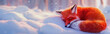 A cute red fox is sleeping in the snow banner design with empty copy space for text. A bright red fox vulpes curled up in a snowbank on a snowy day