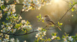 petit oiseau au printemps dans les arbres fruitiers en fleurs