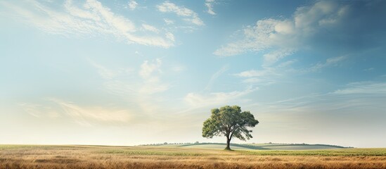 Poster - A lonely tree under a clear blue sky in a vast field